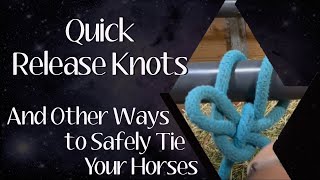 Quick Release Knots and Other Ways to Tie Your Horse [upl. by Sirronal438]