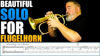 GORGEOUS FLUGELHORN SOLODUET quotBroken Piecesquot by Iain Mundy amp Matonizz Sheet Music Play Along [upl. by Analram960]