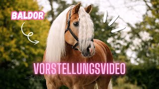 MEIN NEUES PFERD  VORSTELLUNGSVIDEO 🦄 [upl. by Huba]