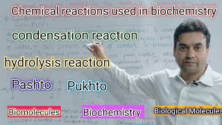 Chemical reactions used in biochemistry  Condensation  Hydrolysis reaction  Biology Class 11 [upl. by Kowal917]