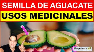 TÉ DE SEMILLA DE AGUACATE  USOS MEDICINALES [upl. by Komara]