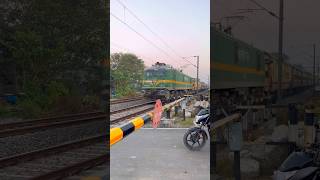 Teesta Torsa Express at Railgate shorts [upl. by Dexter]