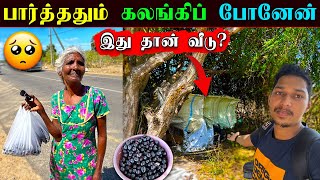 இவர்களை பாருங்கள்😱  என்னை கலங்க வைத்த அம்மா🥺 Poonakary Novel Fruits  Ks shankar  Sri Lanka [upl. by Eromle]