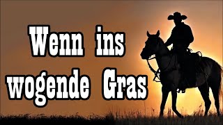 Wenn ins wogende Gras  LagerfeuerliedCampfire Song  English Translation [upl. by Naut]