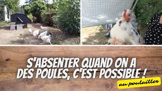 🐔 Sabsenter plusieurs jours quand on a des poules cest possible [upl. by Kcirtapnaes]