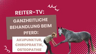 ReiterTV Ganzheitliche Behandlung beim Pferd Akupunktur Chiropraktik Osteopathie [upl. by Lynad]