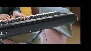 Fesley 88 Key Weighted Digital Piano Keyboard music keyboard piano [upl. by Adnorrehs125]