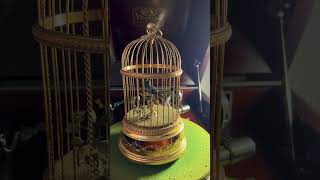 Vintage Swiss Reuge Singing Bird Cage Musical [upl. by Frymire]