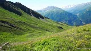 Grossglockner Hochalpenstrasse Über die blühenden Berge nach Heiligenblut in Kärnten [upl. by Costanzia]