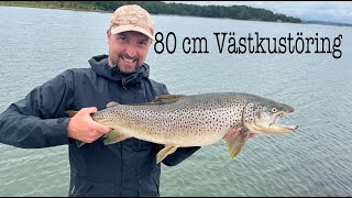 Havsöring Västkusten 80cm Flugfiske med sjunklina [upl. by Dela]