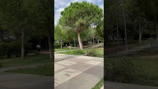 Parque de Hospitalet de Llobregat de Barcelona [upl. by Ruenhcs]