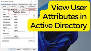 View User Attributes in Active Directory [upl. by Niamreg]