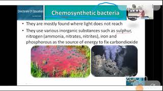 Class 11 Chemosynthetic Bacteria [upl. by Llewoh]