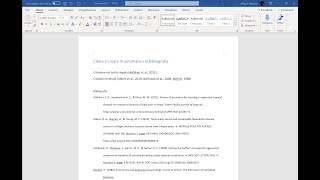 Come citare e creare la bibliografia in automatico [upl. by Ahker]