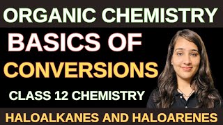 Basic Concepts of Organic Chemistry Conversions I Haloalkanes and Haloarenes I Class 12th Chemistry [upl. by Limbert]