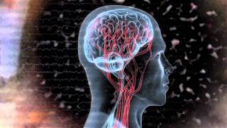 What is biofeedback and neurofeedback A Mind Media video featuring NeXus [upl. by Fesoy]