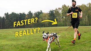 Do you REALLY RUN FASTER with a DOG Canicross training tips [upl. by Ynahirb]