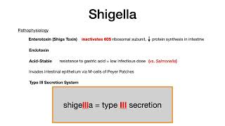 Shigella [upl. by Refinney]