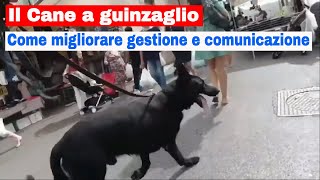 2 Il cane a guinzaglio Come migliorare gestione e comunicazione [upl. by Duster]