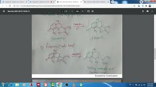 Structure elucidation of santonin [upl. by Heron]