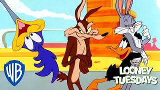 Looney Tuesdays  Friendship Love ❤️  Looney Tunes  WB Kids [upl. by Sucirdor795]