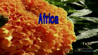 Toto  Africa KaraokeLyricsInstrumental [upl. by Cathyleen264]