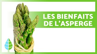 BIENFAITS des ASPERGES 💚 Propriétés Comment les Manger et Contreindications [upl. by Ban443]