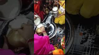 ॐ नमः शिवाय 🙏🏻 travel deoghar harharmahadev babadham viral shorts [upl. by Saberhagen]