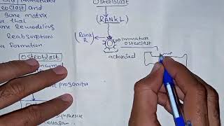 Bone Remodeling process Mechanism details [upl. by Pronty]