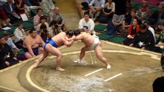 Wakatakakage 02  Tobizaru 11  Sumo  Natsubasho 18 [upl. by Krystyna]