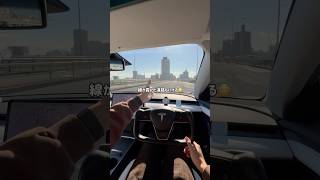 オートパイロット便利すぎやろ テスラ tesla モデル3 モデルy autopilot 自動運転 [upl. by Ahsinhoj590]