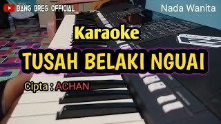 Karaoke ✓ Tusah Belaki Nguai  Nada wanita  lagu dayak iban  Bang Breg Official [upl. by Ilatfan595]