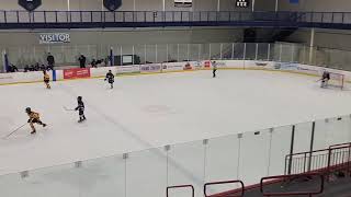 Live streaming of Mankato Peewee A 2024 [upl. by Ativahs10]