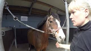 Vlog 12 Hippisch Centrum Hoeksche Waard [upl. by Ahgiel]