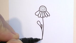 draw with me easy FLOWER chamomile [upl. by Ackley247]