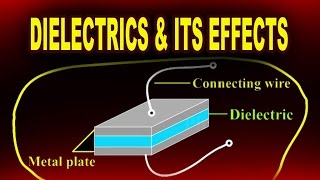 Dielectrics and Effects of Dielectrics  Physics Video [upl. by Ongun407]