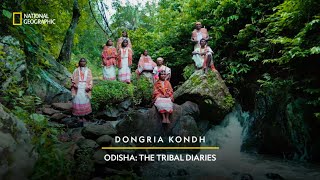 Dongria Kondh  Odisha The Tribal Diaries  National Geographic  PartnerContent [upl. by Kirtap]