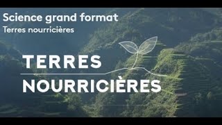 Terres nourricières  Documentaire [upl. by Anoi]