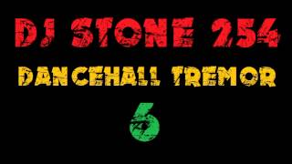 DJ STONE 254  DANCEHALL TREMOR 6 [upl. by Annairda148]