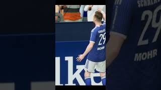 FC Schalke 04  Darmstadt 98 [upl. by Isbella]