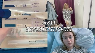 VLOG ЭКО БЕРЕМЕННОСТЬ с 1 ДПП Полосатые ТеЕСТЫ ХГЧГИПЕРСТИМУЛЯЦИЯПервый СКРИНИНГСАМОЧУВСТВИЕ [upl. by Fine641]