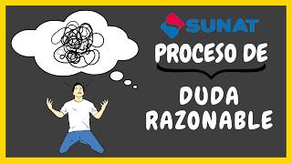 La Duda Razonable en Despachos de Importación SUNAT  Perú [upl. by Radley]