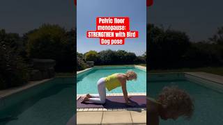 Pelvic floor menopause STRENGTHEN with Bird Dog pose [upl. by Airak]