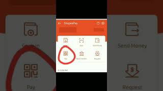 HOW TO USE SPAYLATER IN PUREGOLD spaylater Puregold PuregoldWithSpaylater [upl. by Colpin]