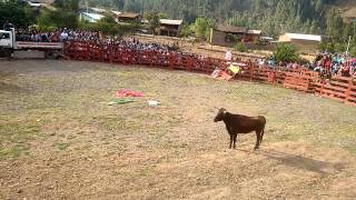 Corrida de toros con payasos muy divertido en acop [upl. by Miltie171]