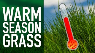 Grasses That Can Handle The Heat  Benefits of Warm Season Grasses [upl. by Assenna]