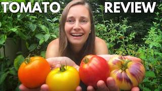 The Best Tomato Varieties  A Review of my 2024 Heirloom Cherry amp Hybrid Varieties [upl. by Ailecnarf]