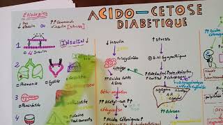 tous savoir sur LACIDOCETOSE DIABETIQUE  PREMIERE PARTIE  DEFINITION  ETIOLOGIES [upl. by Dettmer]