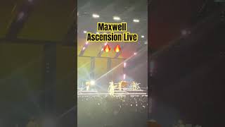 Ascension Maxwell live 2024 shorts maxwell rnb [upl. by Damalus]