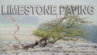 LIMESTONE PAVING  LANDSCAPE PHOTOGRAPHY [upl. by Sekofski]